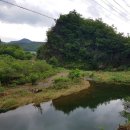 단종 어수정 이미지