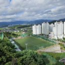 임호체육공원 축구장 네이버블로그