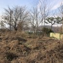 예스부동산중개주식회사 이미지