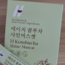 샤인에이치 이미지