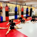 타이혼GYM 이미지