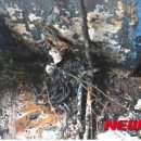 가락공판장 이미지