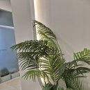 구앤장마취통증의학과피부과의원 이미지