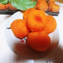 장종상농원