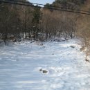 오대산서울 이미지