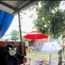 육모정민박 이미지