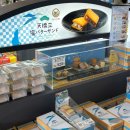 투어미소 | 🇯🇵 교토 근교 이네노 후나야 버스투어 후기 | 아마노하시다테까지 하루 코스