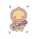 감자 바우 이미지