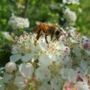 나비텃밭농원 이미지