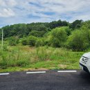 금사농장 이미지