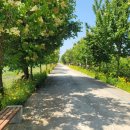 걷고 싶은 누리길 이미지