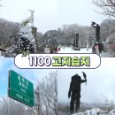 신하자치센터 화장실 | 등산 없이 즐길 수 있는 한라산 눈꽃 여행 1100고지습지 방문후기 주차, 방문팁 CCTV 확인방법까지