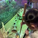 두꺼비로70번길(3-260) | 40개월 아기랑 2박3일 경주여행 둘째,셋째날