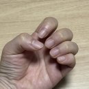 예쁜손톱 | 유케어 손톱강화 손톱영양제 후기 시럽네일처럼 예쁜 매니큐어 추천