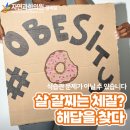 살이 잘 찌는 체질? 평택 비만 한의원에서 해답을 찾다