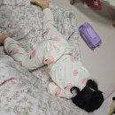 강원대학교어린이집 | A형 독감 후기 2편, 독감저체온 독감 격리 기간 독감 응급실 유아저체온