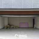 코아드 이미지