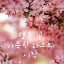 행복꽃 이미지