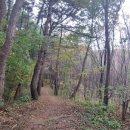 검암산(중간) 이미지