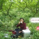 자연벗농원 이미지