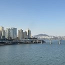 서른날