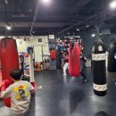 A탑 복싱 체육관 | 나를 지키는 운동 분당복싱 탑복싱체육관에서 느낀 활기찬 운동 후기