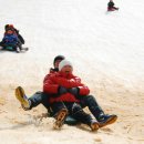송어축제 이미지