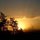 경복궁에는. 이미지