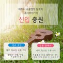 [오후N] 알로하~~통통튀는 우쿨렐레 | [마감] 제주 우쿨렐레 입문클래스 개설 안내 (7/13 시작반)