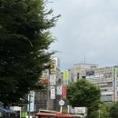 이조살롱 | 이조살롱｜광명 하안동 속눈썹 블랙 마스카라 속눈썹펌