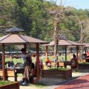 뿌리공원 이미지