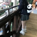 롯떼월뜨🎡