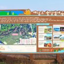 예당호느린호수길 이미지