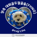 배방동물병원