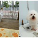 오송프렌즈샵