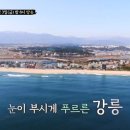 주문진해물국수