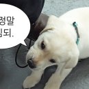 타르데마1942마곡나루 네이버블로그