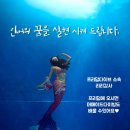 혜스테틱 | 경남 창원 프리다이빙 / 프리다이빙 자격증따기 / 프리덤다이브 24.28.23 교육 후기🤩