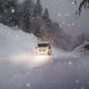 ECO CAR SERVICE 이미지