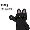 김선정헤어