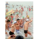 부산곰 Daum카페