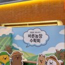 지상농장 | 바른농장 수확회 강남역 팝업스토어 추천 바른치킨 강남R점