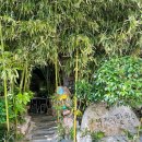 보성녹차사랑 이미지