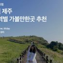 JS함덕 이미지