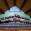 호수농장 이미지