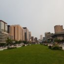 법인연서