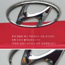 사회복지법인예수마리아요셉부활의집 이미지