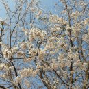 순천풋살장.민박