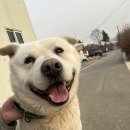 향남메디동물병원 이미지