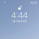 투엘브 Daum카페